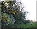 Quarry Lane Nature Reserve, Mansfield, Notts.