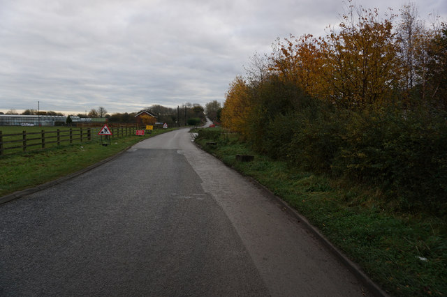 Common Lane towards Gascoigne Wood