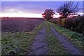 Farm track towards the sunset