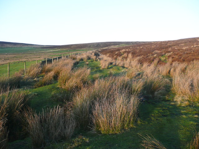 Wadsworth FP60 along the edge of the moor