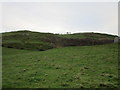 Rough ground on the edge of Hawick