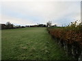 Grass field and houses near Orchard