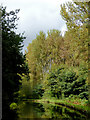 Staffordshire and Worcestershire Canal near Stafford