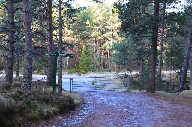 Path junction and road to Carrbridge