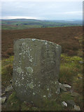 SD6964 : Two faces of the Standard on Burn Moor by Karl and Ali