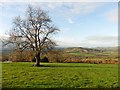 View over Mitcheltroy Common