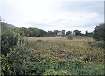 J2109 : Heathland between the R176 and the Greenore Golf Course by Eric Jones