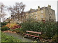 Houses on Lothian Street, Hawick