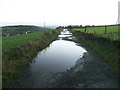 Puddles on Turner Lane at Dusk