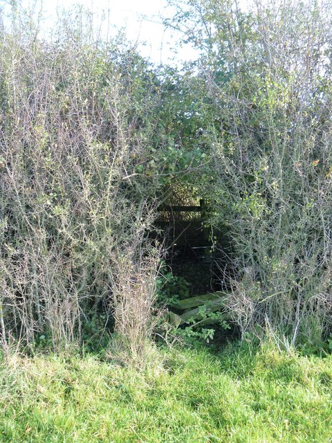 Through the hedgerow with difficulty [1]