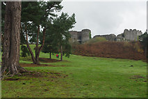 SJ5359 : Outer Ward: Beeston Castle by Stephen McKay