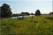 SP4610 : Thames Path by N Chadwick