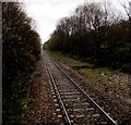 Rhondda Line from Ynyswen station towards Treorchy station