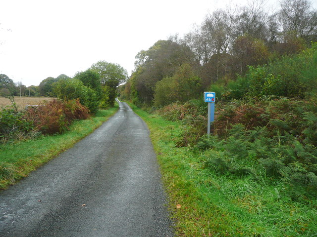 National Cycle Route 7 at the entrance to High Camer Wood