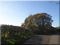 Pull-off for access to a field, Burcott Lane