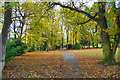 Path in Halecroft Park