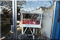 View of a Christmas window display in Coggers Florist on Forest Road