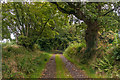 Track to Penheale Barton