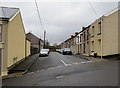 Painters Row, Ynyswen