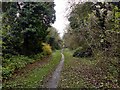 Bridleway on a former railway trackbed