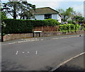 Westfield Drive fence and hedge, Burnham-on-Sea