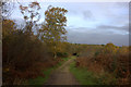 Chobham Common. Path to the north