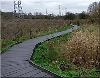 SK5702 : Boardwalk next to the River Biam on the Aylestone Meadows by Mat Fascione