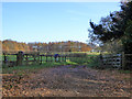 Farm track, Lower Layham