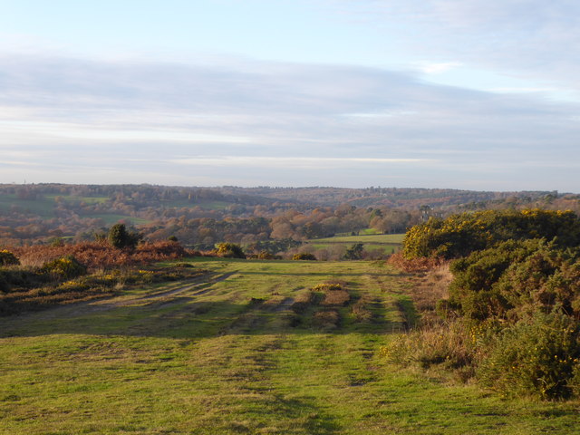 Late afternoon sun on Ashdown Forest