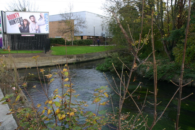 Northern confluence of River Wandle & Pickle Ditch