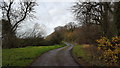 The lane to Arbury Mill Farm