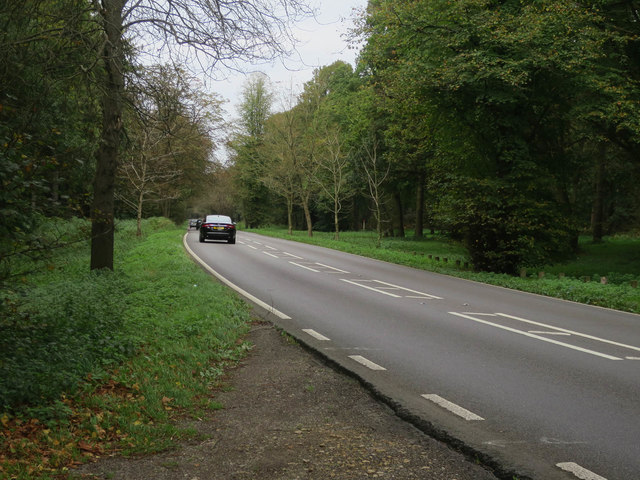 A134 near Lynford Stag car park