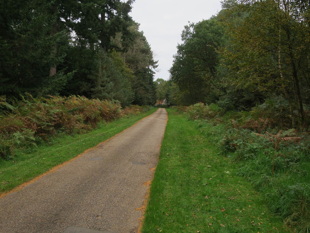Road from Grime's Graves