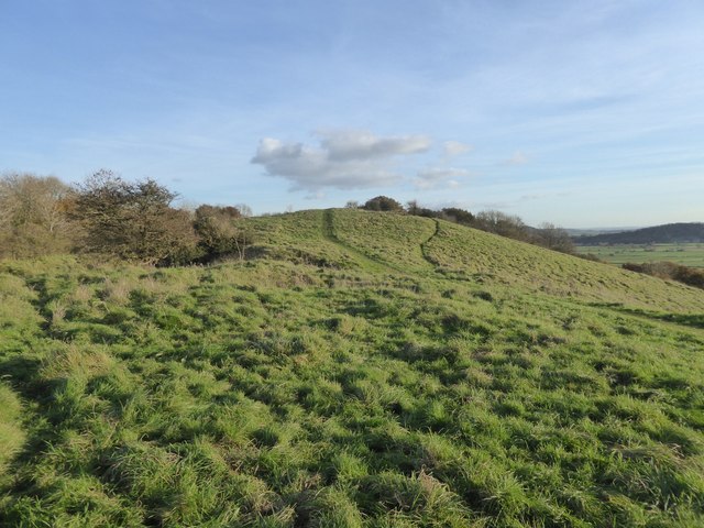 Paths on Walton Hill