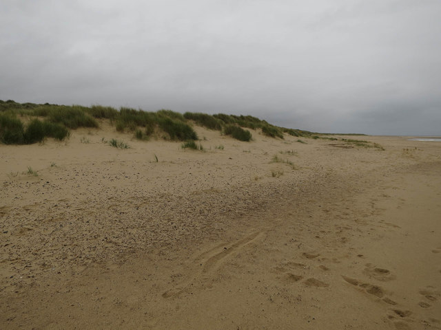 Growing sand dunes, Sea Palling