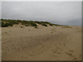 TG4228 : Growing sand dunes, Sea Palling by Hugh Venables