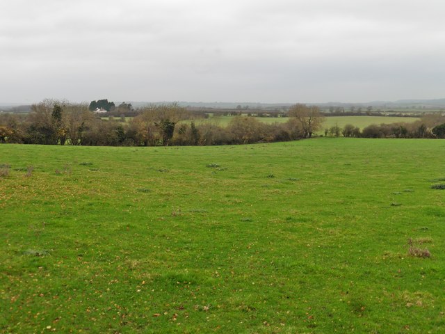 Pasture, north of the A303