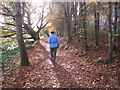 Walking by the River Dart in autumn, Totnes