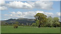 Pastureland N of Mellington Wood as seen from Offa