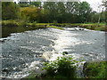 NS3614 : Weir on the River Doon, Dalrymple by Humphrey Bolton