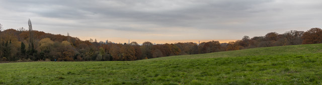 London View from Hampstead Heath