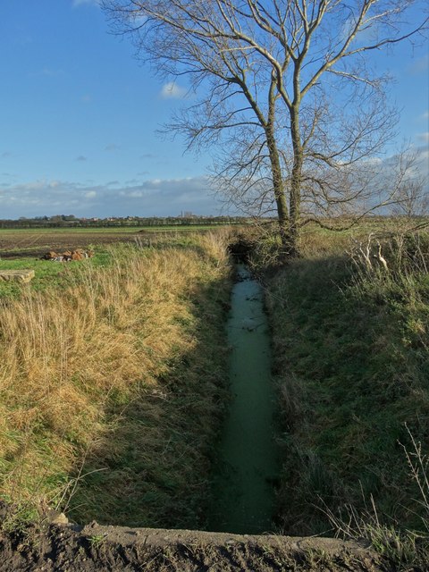 Old Thatch Carr Drain