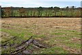 Stubble field at East Whitecastle