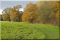 Radstock Way Open Space