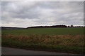 TL1218 : Farmland looking towards London Luton Airport by Geographer
