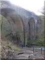 SK1373 : Abseiling on former railway bridge by Dave Dunford