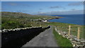L6174 : Inishturk - Road leading into main village from the west by Colin Park