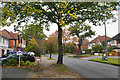 Some autumn colour on Danford Lane