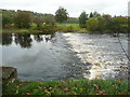 Weir on the River Ayr