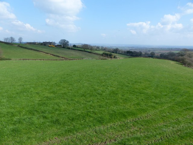 Field below Barlow Grange